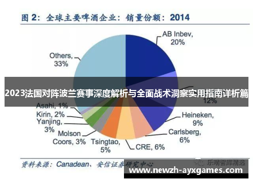 2023法国对阵波兰赛事深度解析与全面战术洞察实用指南详析篇